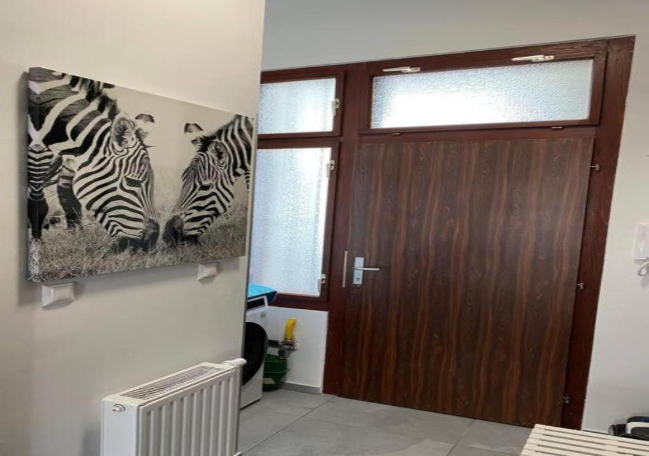 Studio & Apartments Near Reumannplatz Виена Екстериор снимка
